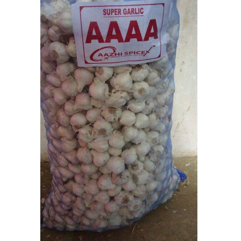 Aazhi Garlic – AAAA –